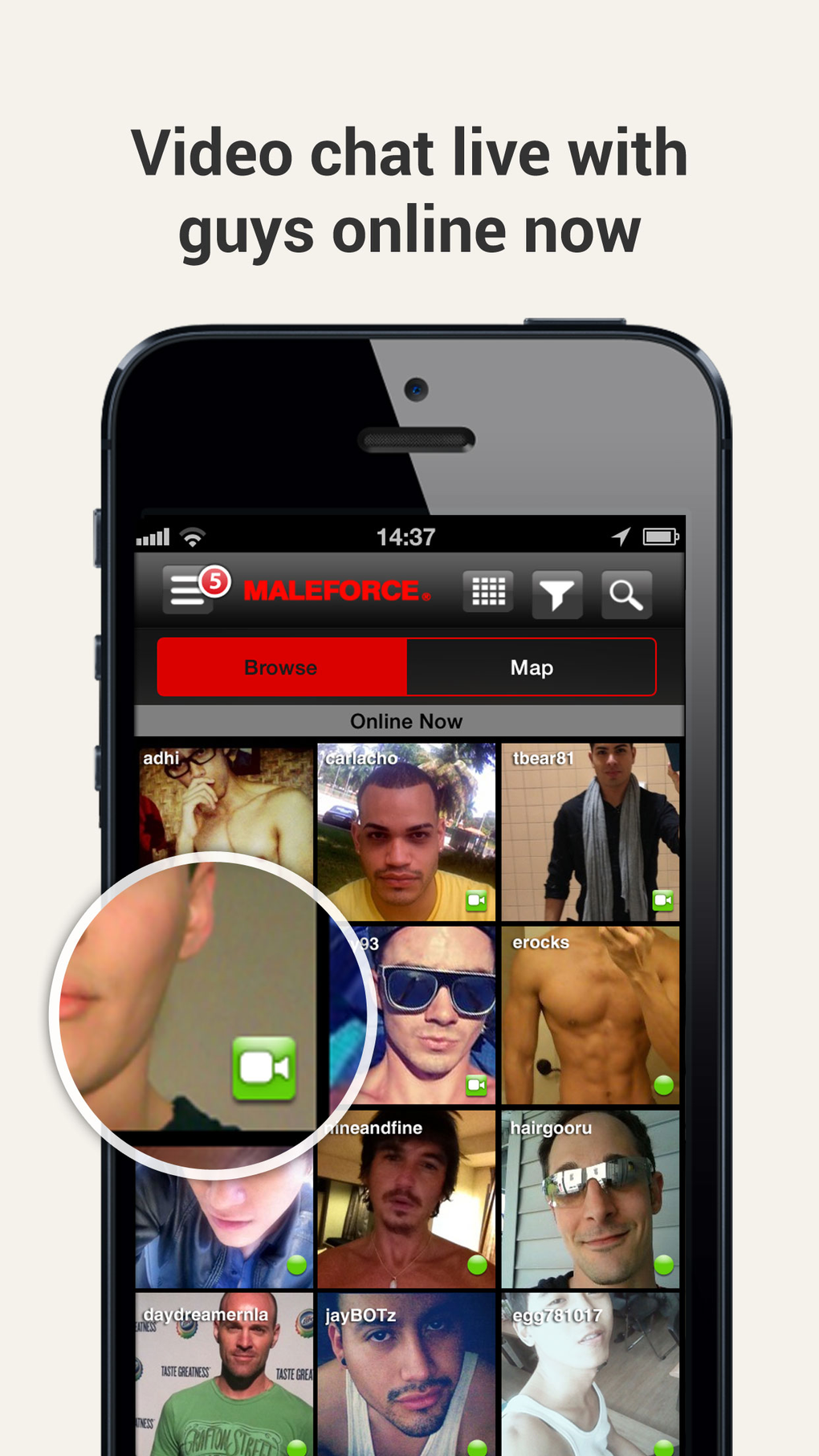 Maleforce - Gay chat for iPhone - Download