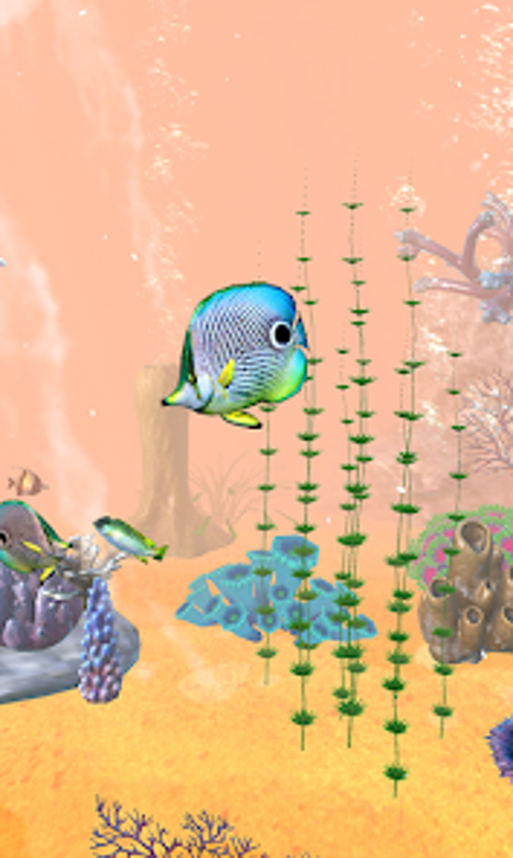 Aquarium Koi Fish 3D Wallpaper For Android Download