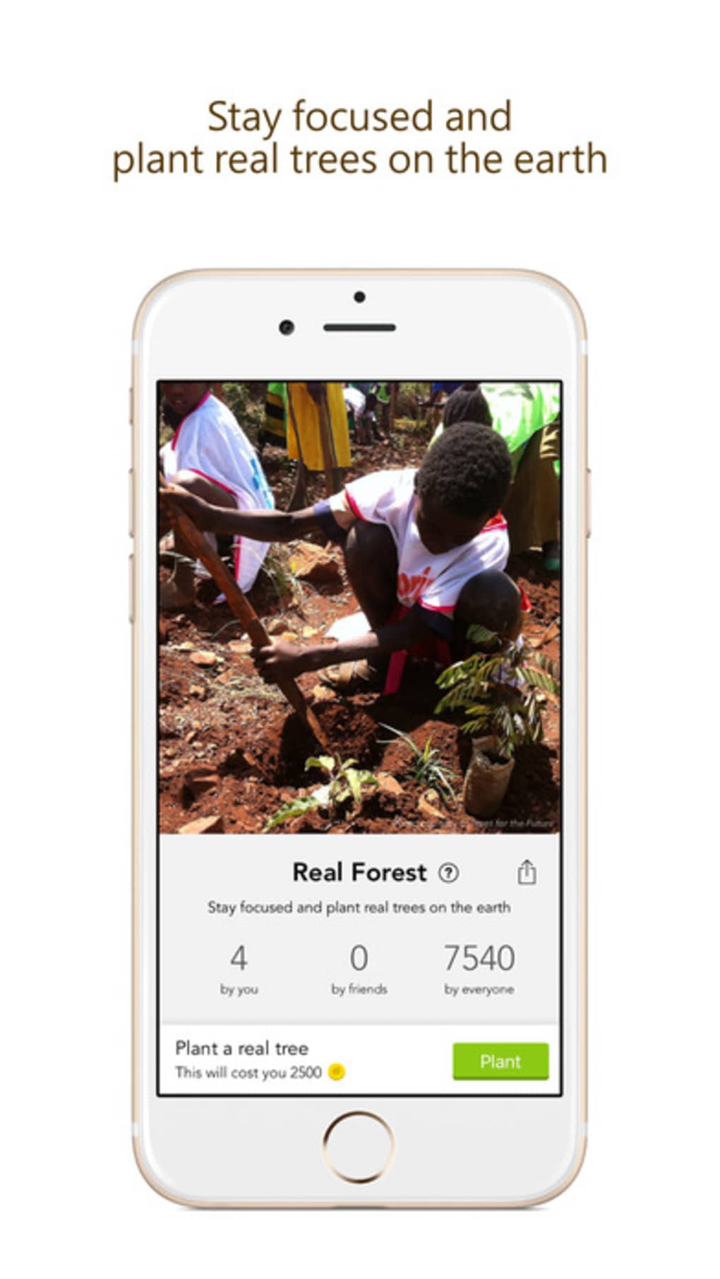 Floresta de Sobrevivência Sur versão móvel andróide iOS apk baixar