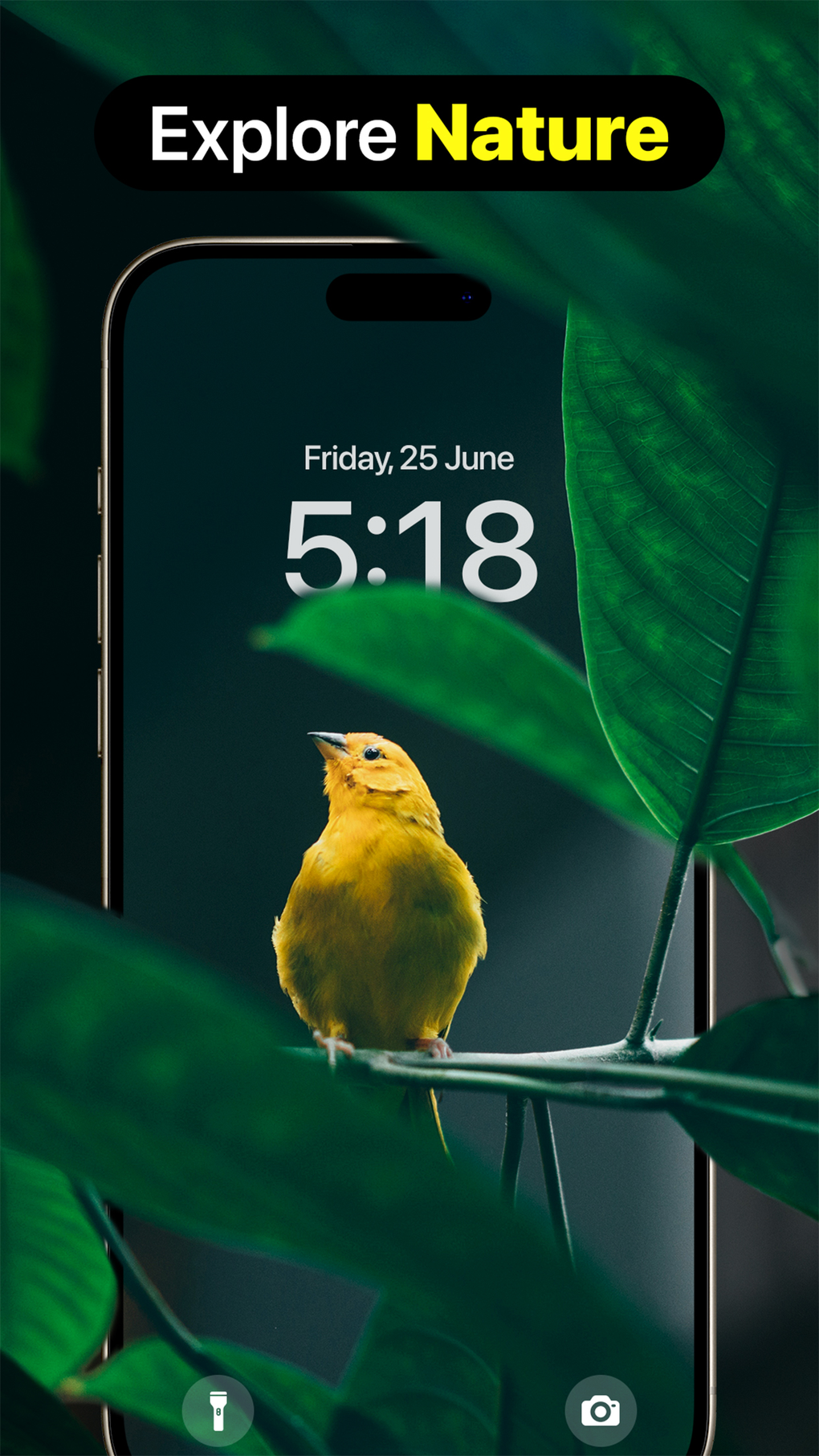 Nature HD Wallpaper - 4K Live for iPhone - Download