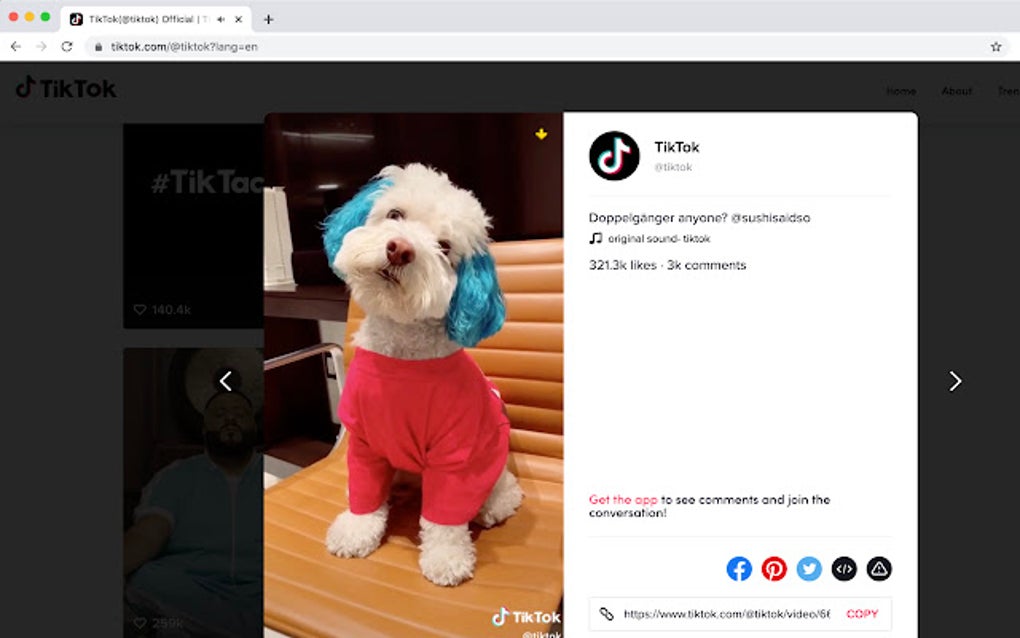 Tt web. Tt web