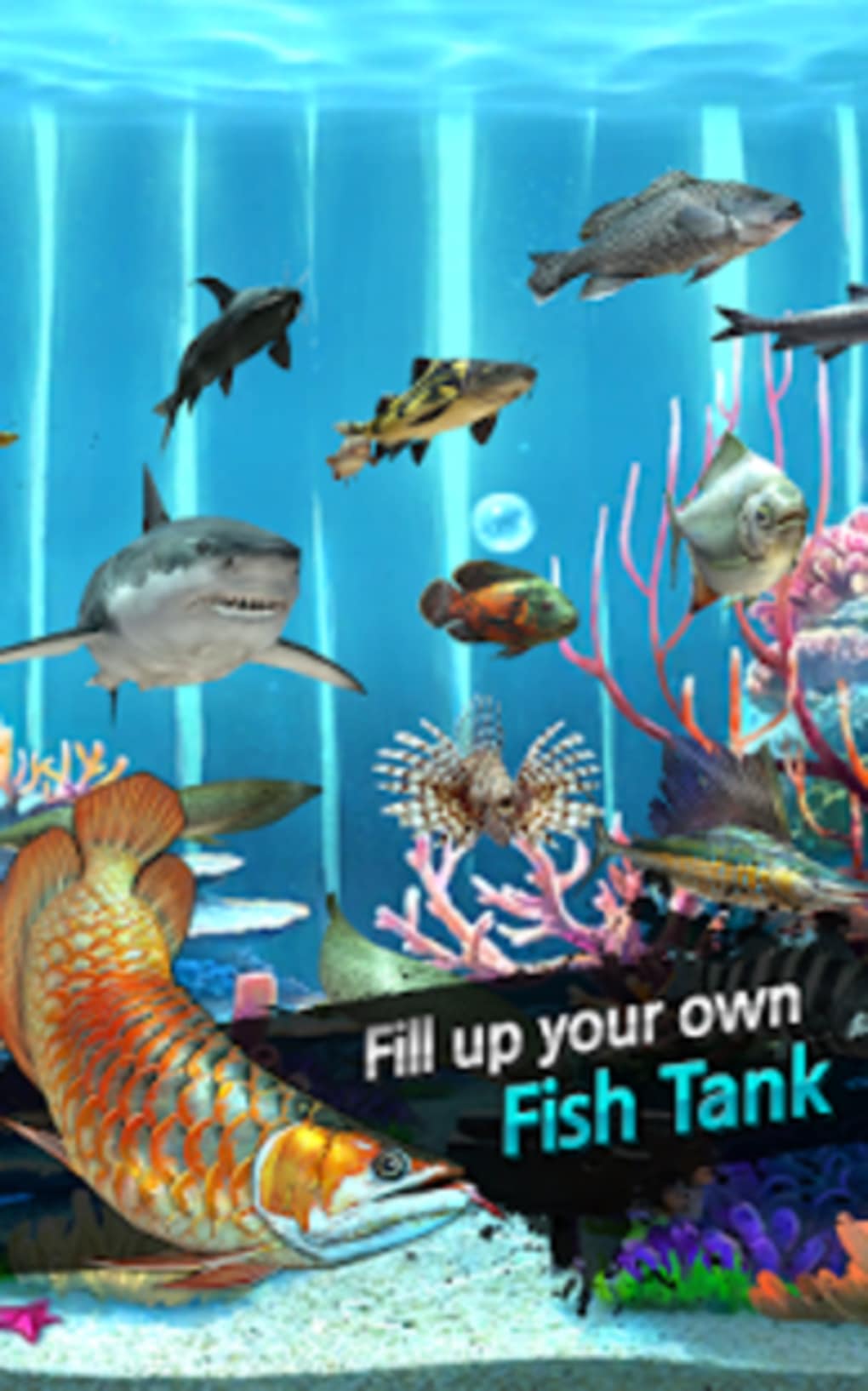 Ace Fishing: Wild Catch 4.0.1 APK Download