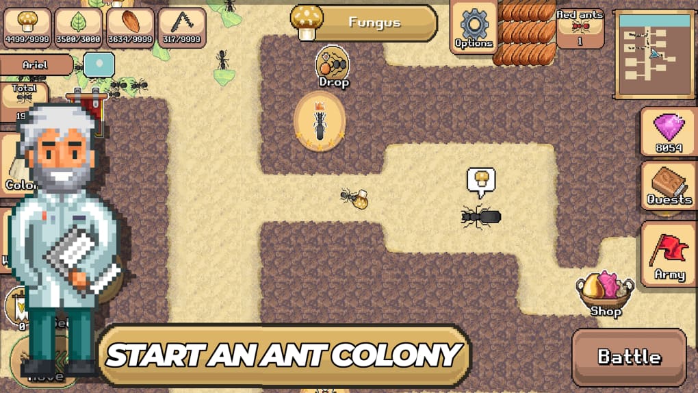 Ants Simulator codes