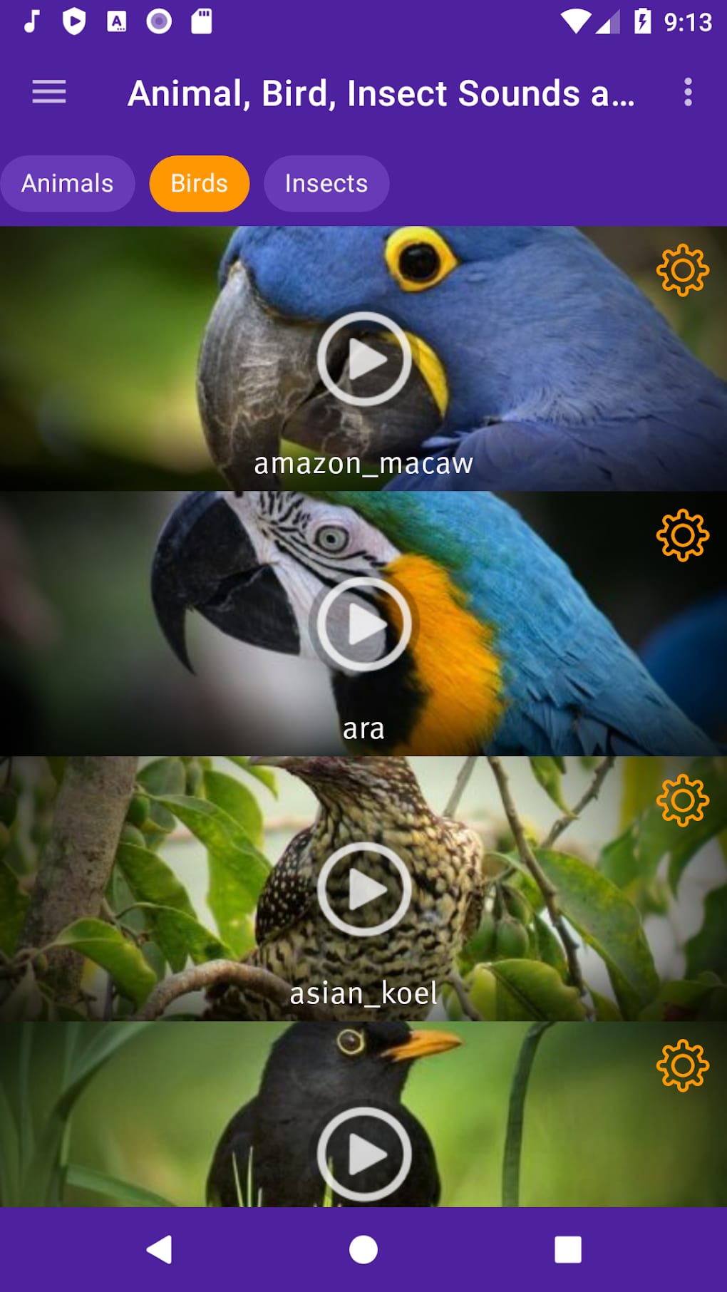 Animal Bird Insect Sounds and Ringtones for Android - Download