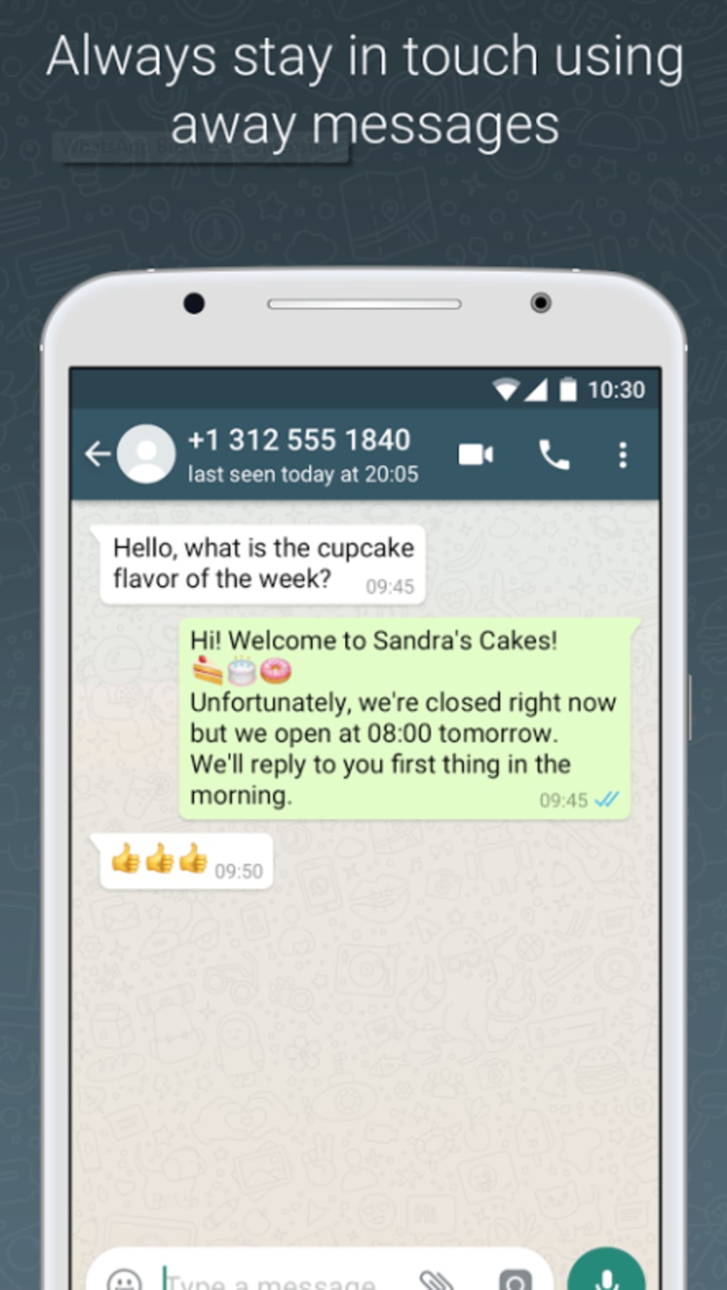 Whatsapp Business For Android Download