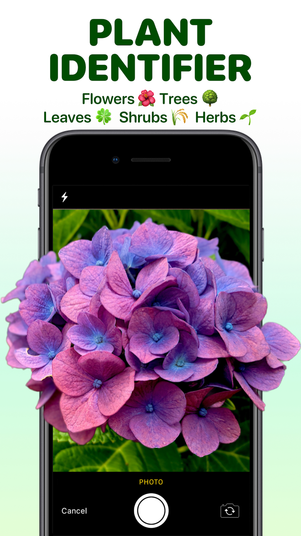 Plant Identifier Aрр для iPhone — Скачать