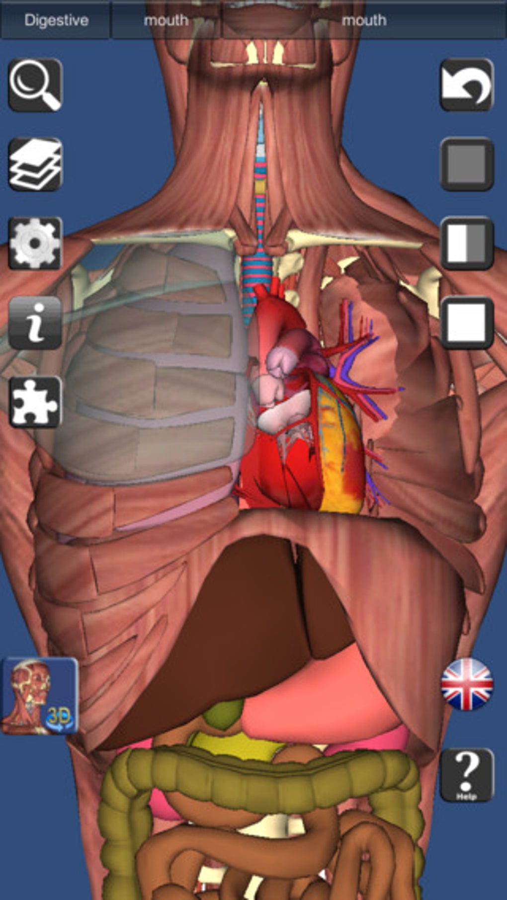 alternative to essential anatomy 3