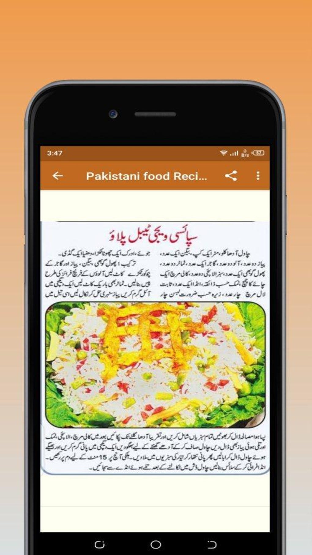 Pakistani Food Recipes in Urdu для Android — Скачать