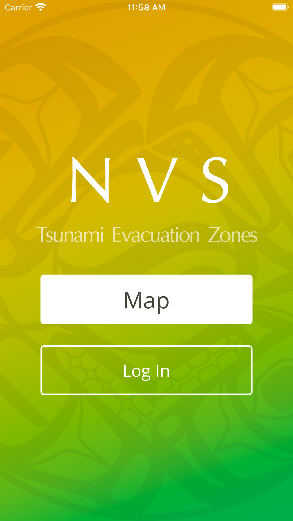 What is a tsunami video