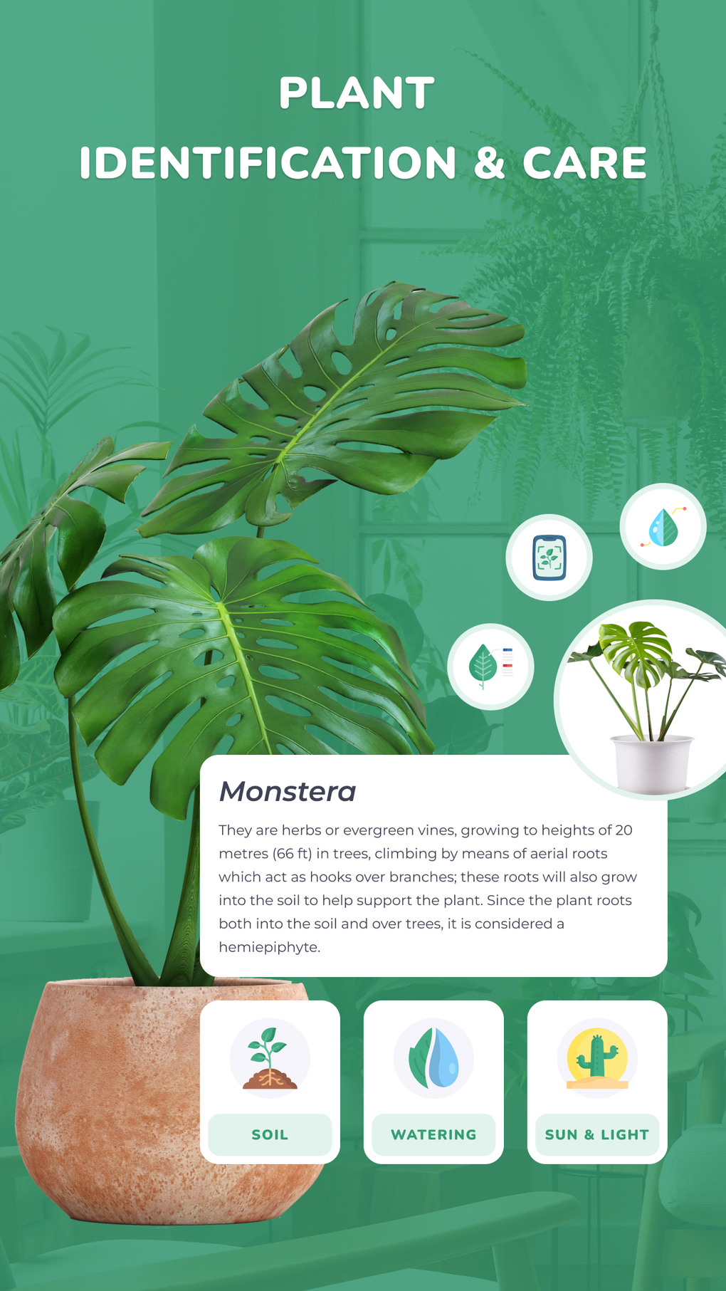 PlantID - Plant identifier for iPhone - Download