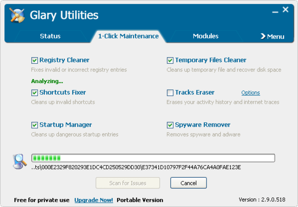 Glary Utilities Pro 5.211.0.240 download