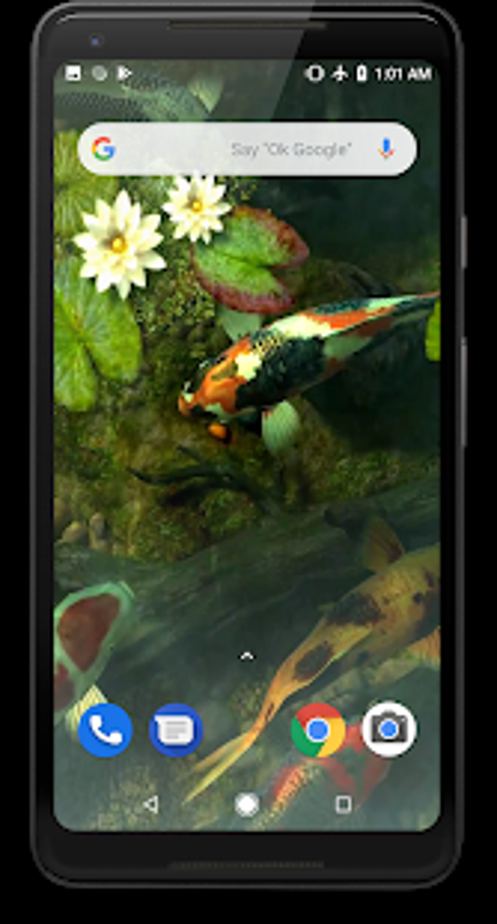 Koi Fish Video Live Wallpaper APK для Android — Скачать