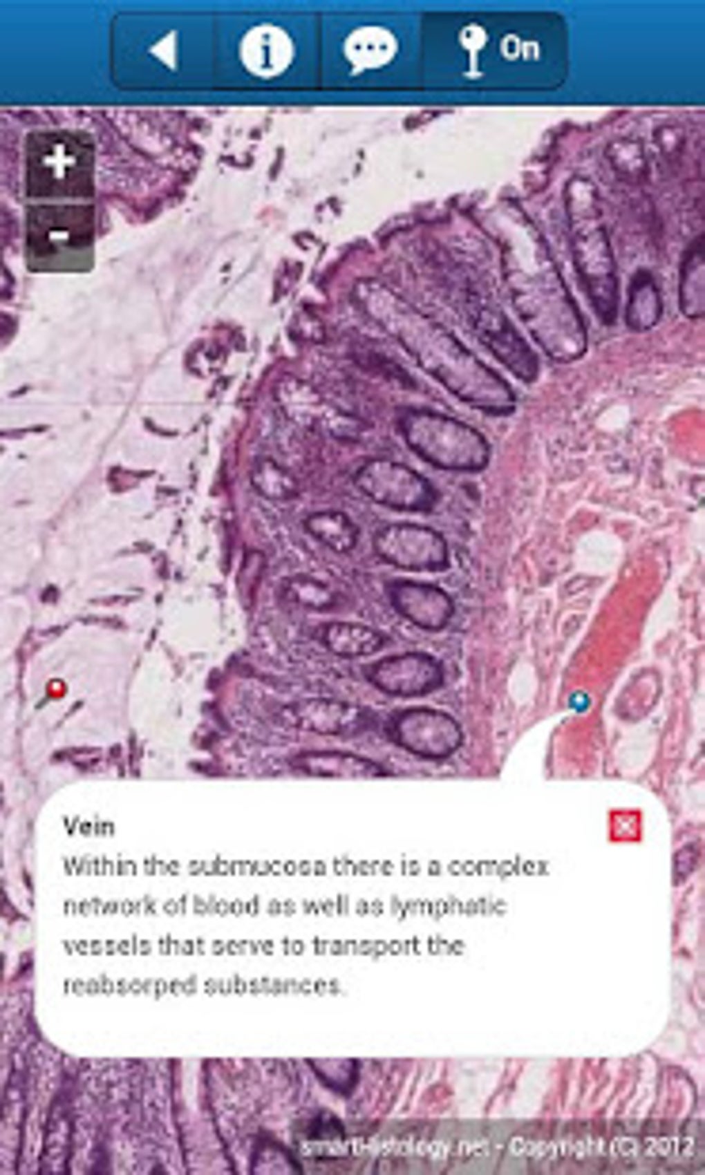 Histology guide