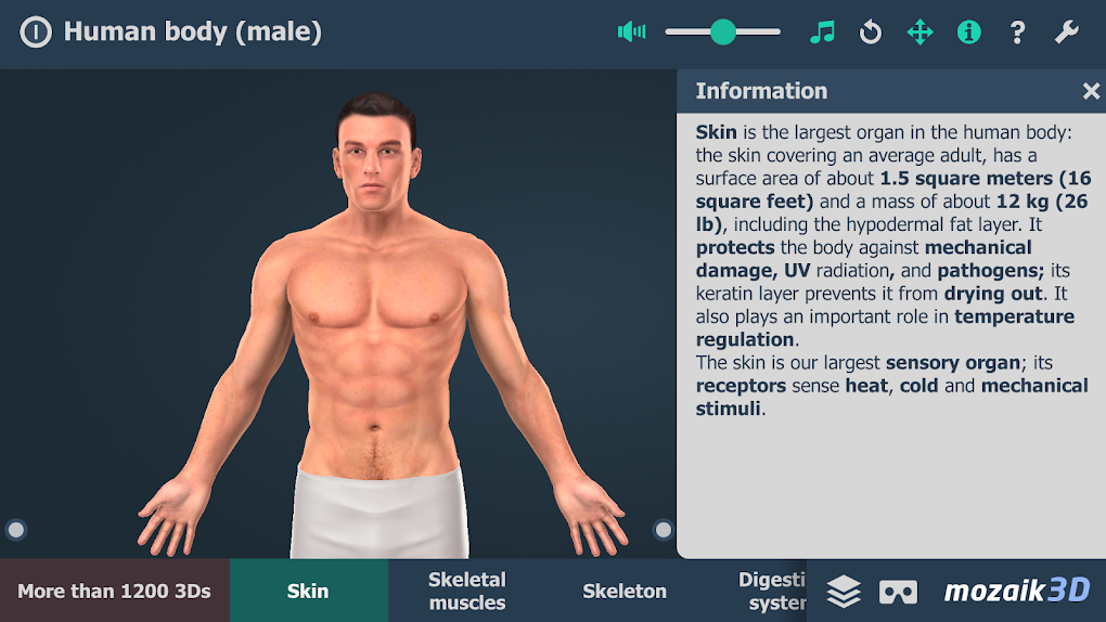 Human Body Male 3D Scene Para Android - Descargar