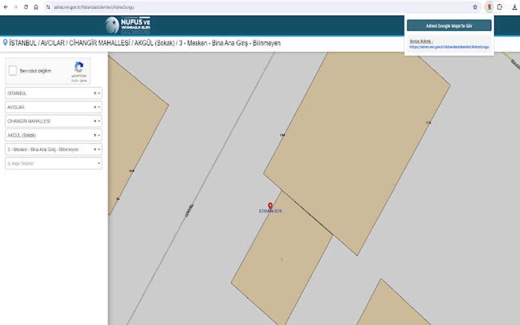 Adres NVI para Google Chrome Extensión Descargar