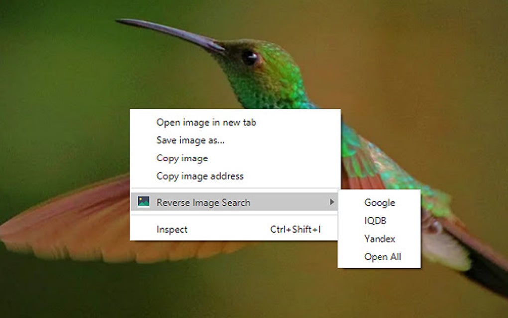 Reverse Image Search para Google Chrome - Extensión Descargar