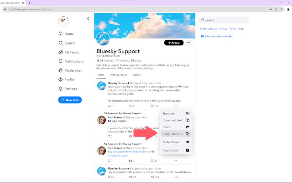 Bluesky Developer Mode For Google Chrome Extension Download