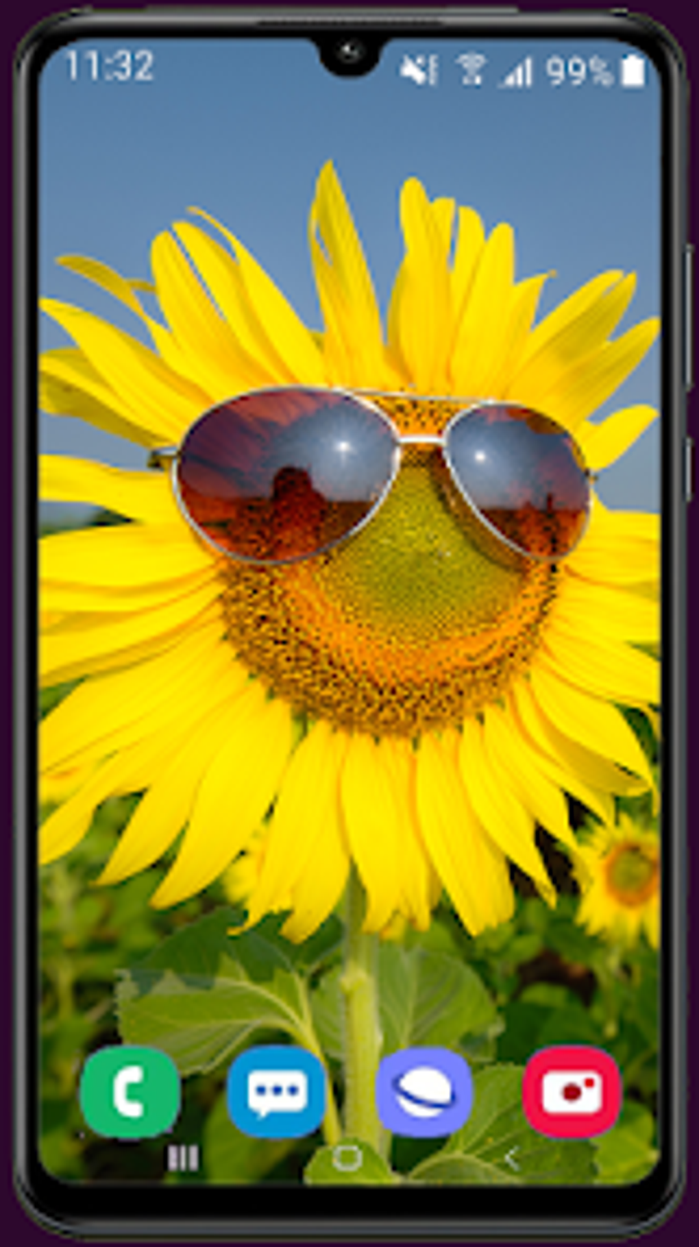 Sunflower Wallpaper HD for Android - Download