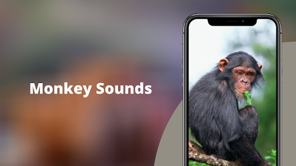 Monkey Sounds per Android - Download