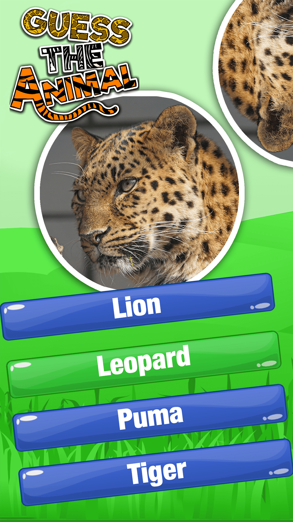 Guess The Animal Quiz Games para Android - Download