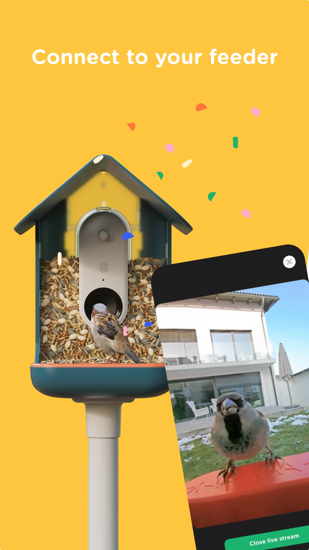 Bird Buddy: Smart Bird Feeder pour iPhone - Télécharger