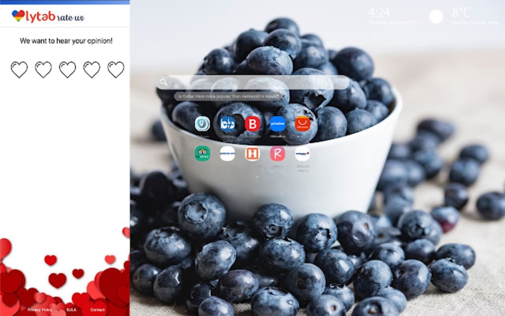 Blueberries Wallpaper New Tab para Chrome - Download