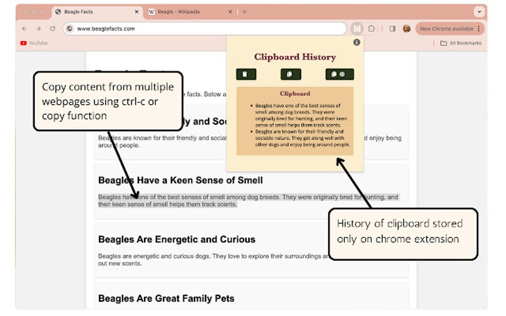 Copy Copy for Google Chrome - Extension Download