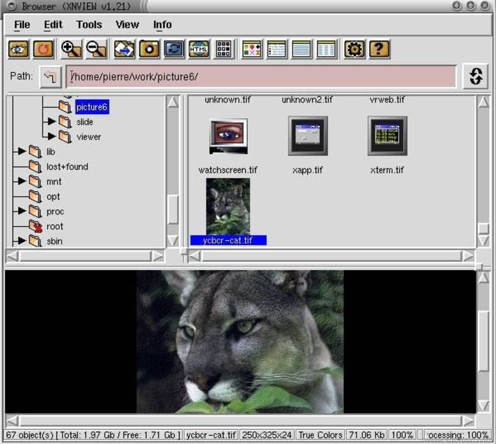 download XnViewMP 1.5.0 free