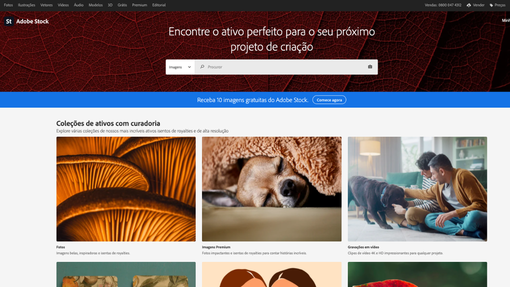 Como baixar imagens gratuitas no Adobe Stock? 