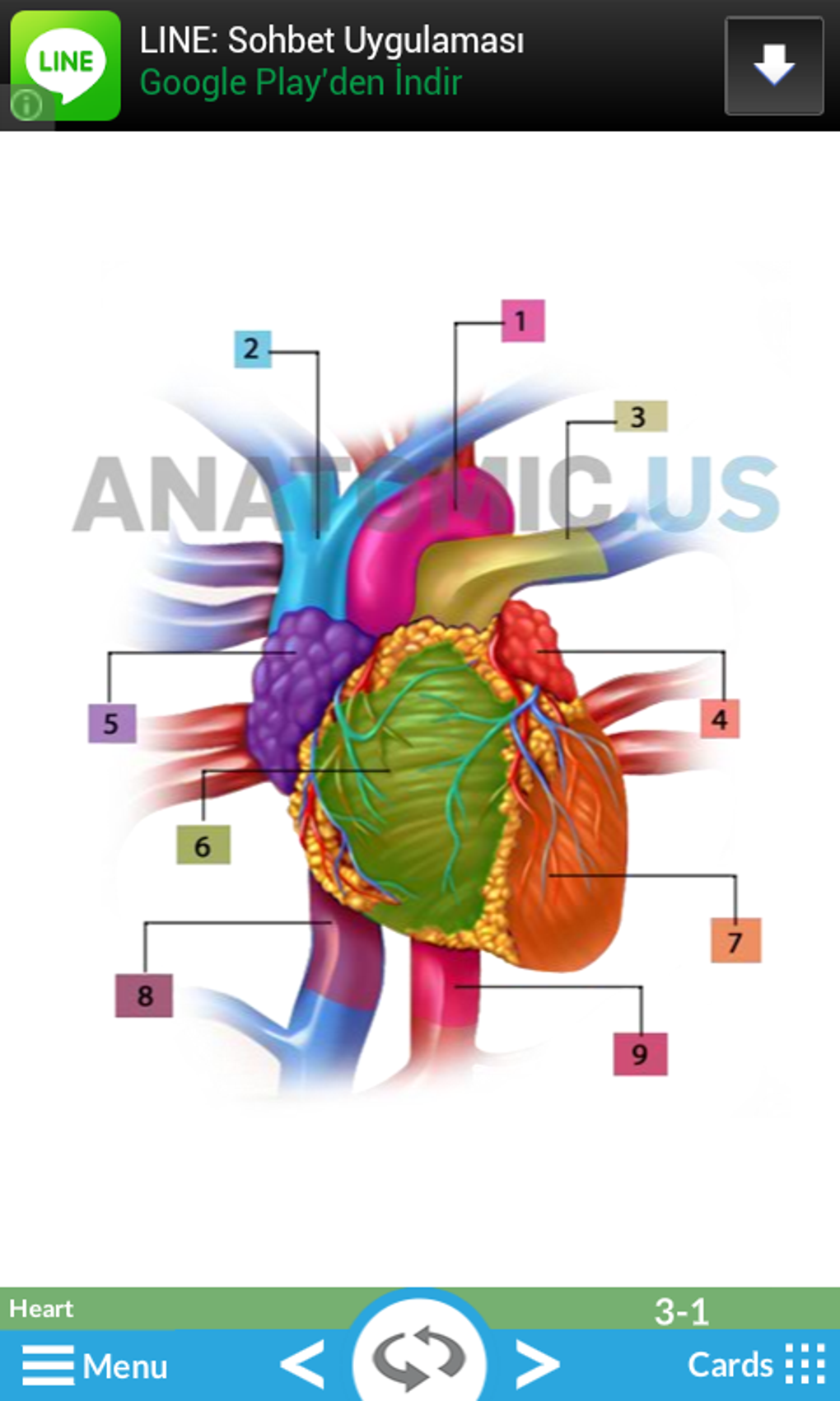 Android 용 Anatomy Flashcards APK - 다운로드