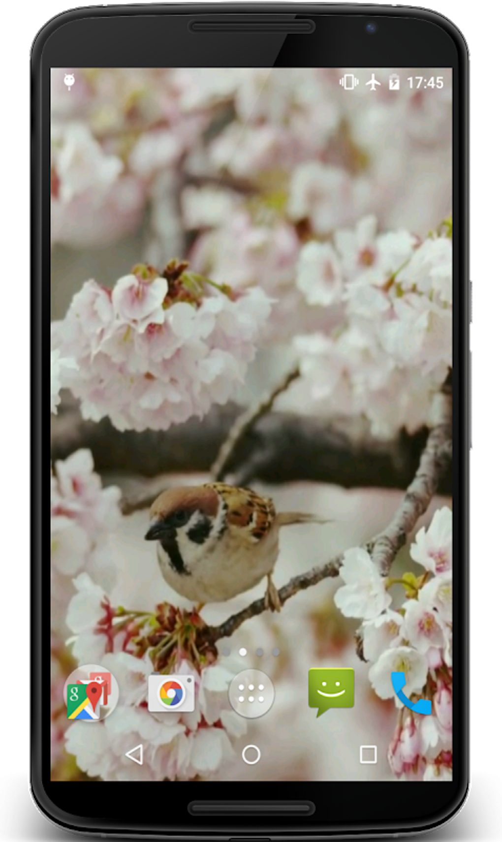 Sakura and Bird Live Wallpaper для Android — Скачать