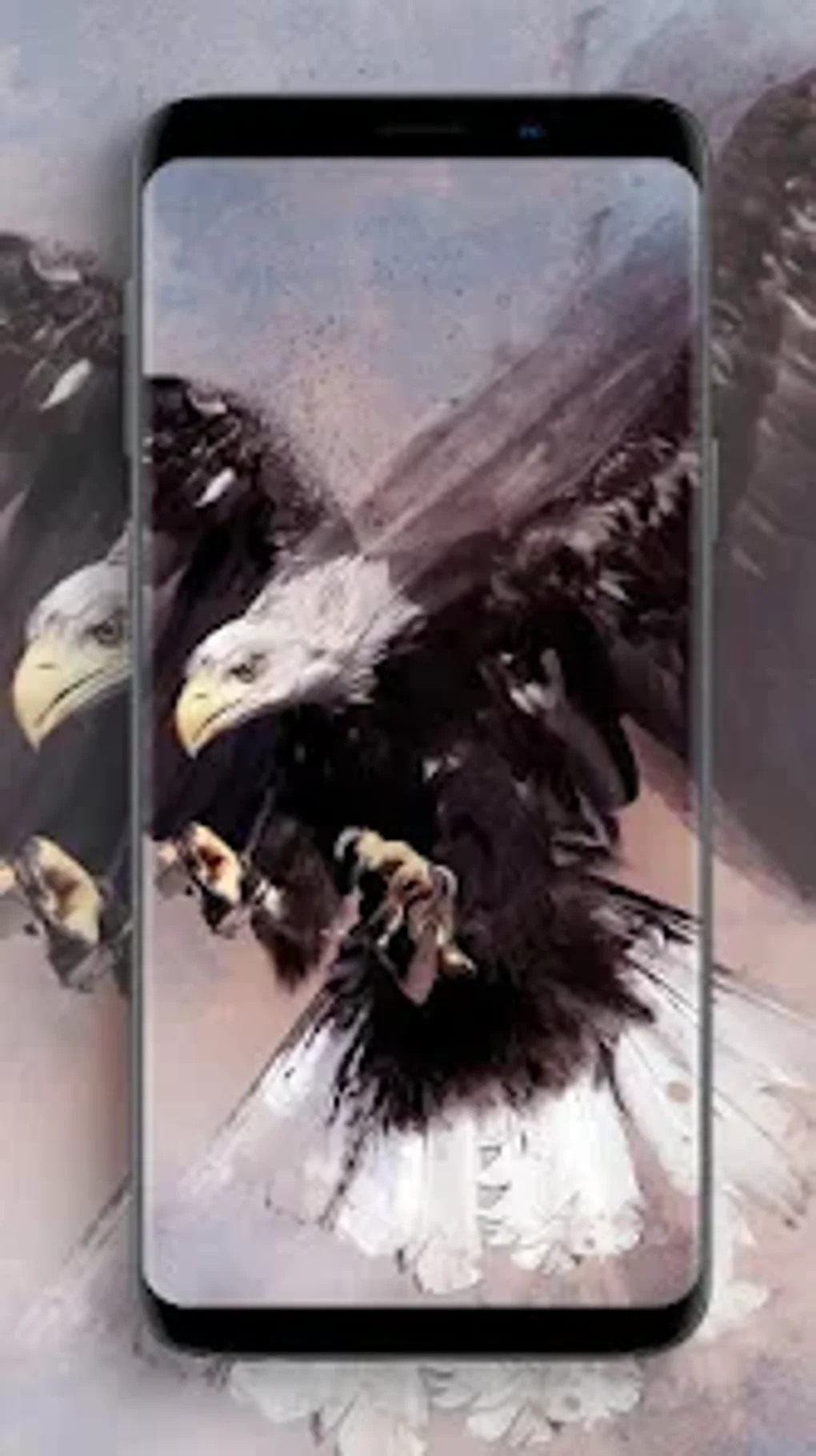 Eagle Wallpapers for Android Download