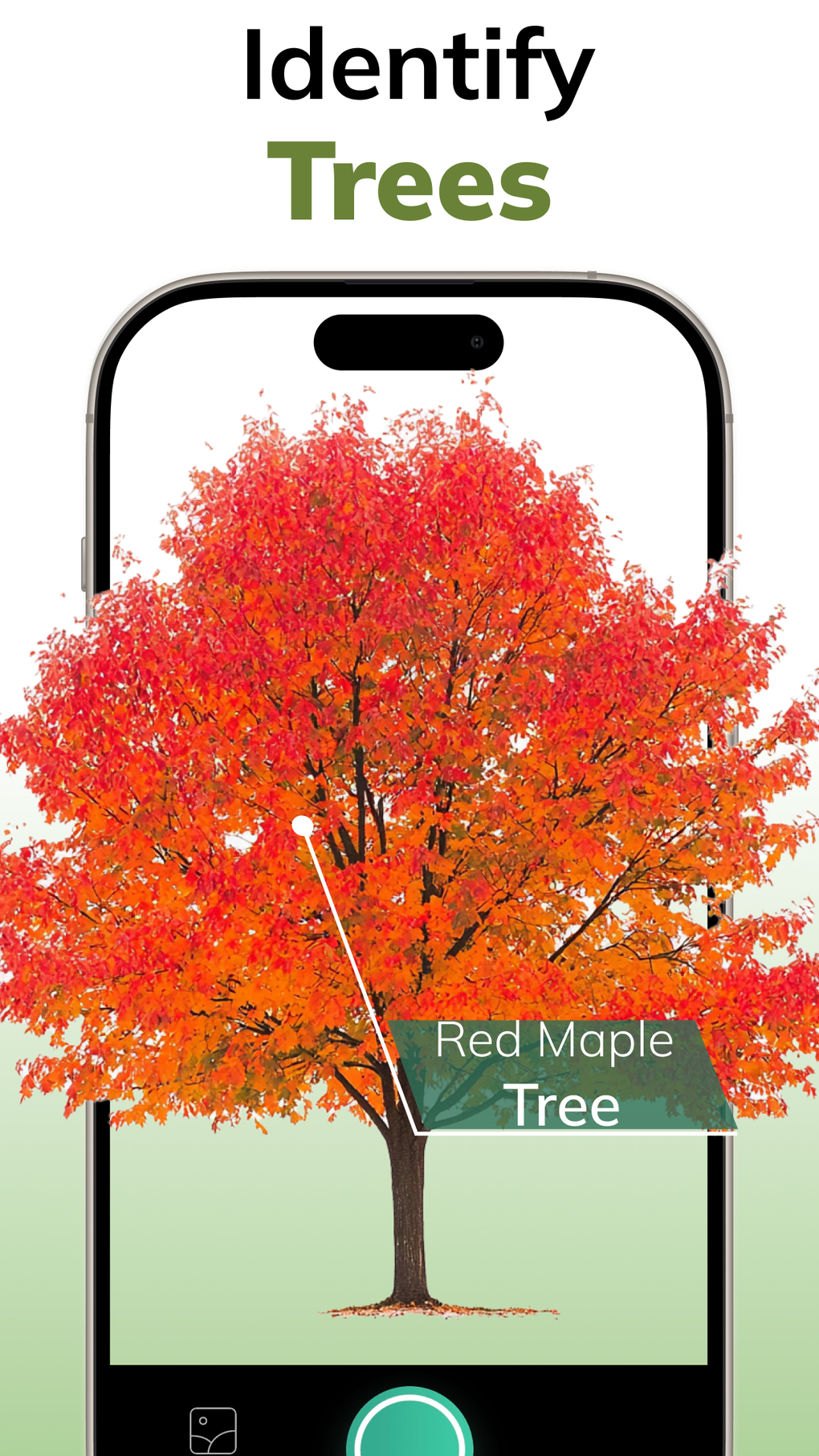 AI Tree Identifier: ID Trees for iPhone - Download