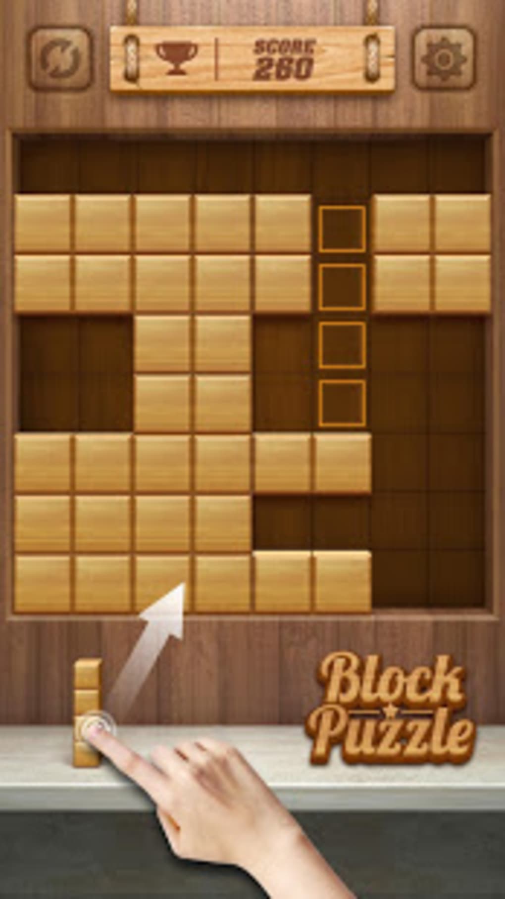 Wood Block Puzzle 3D