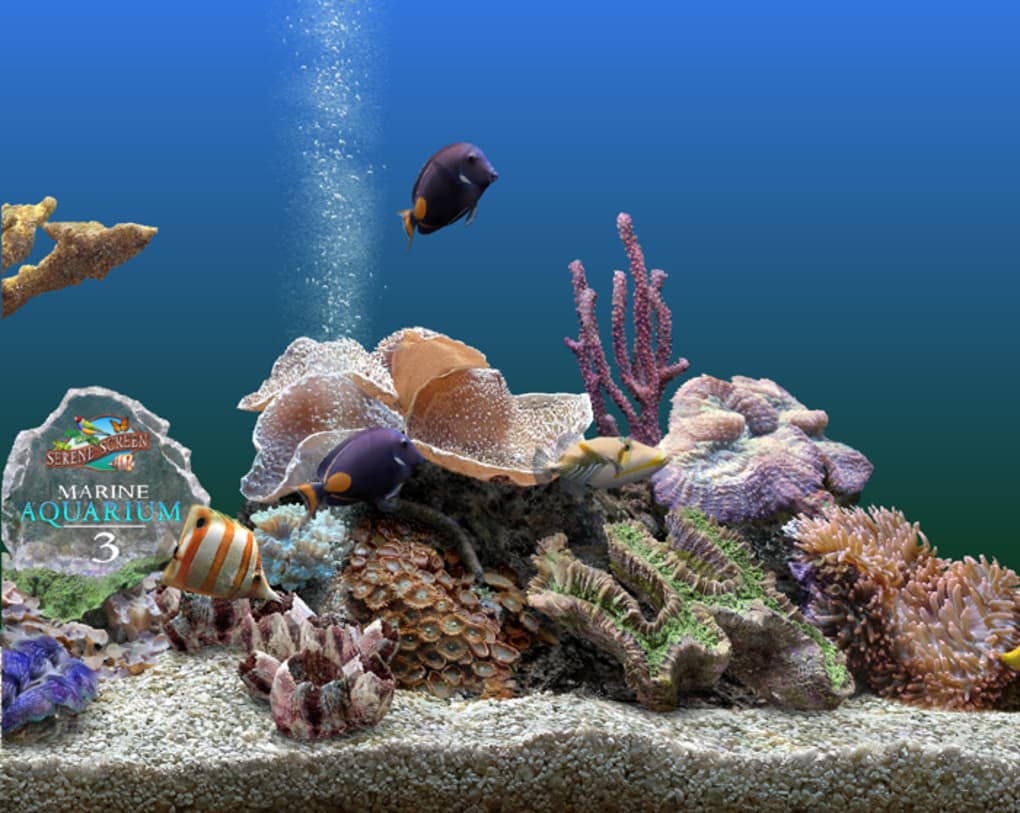 Aquarium Kostenlos