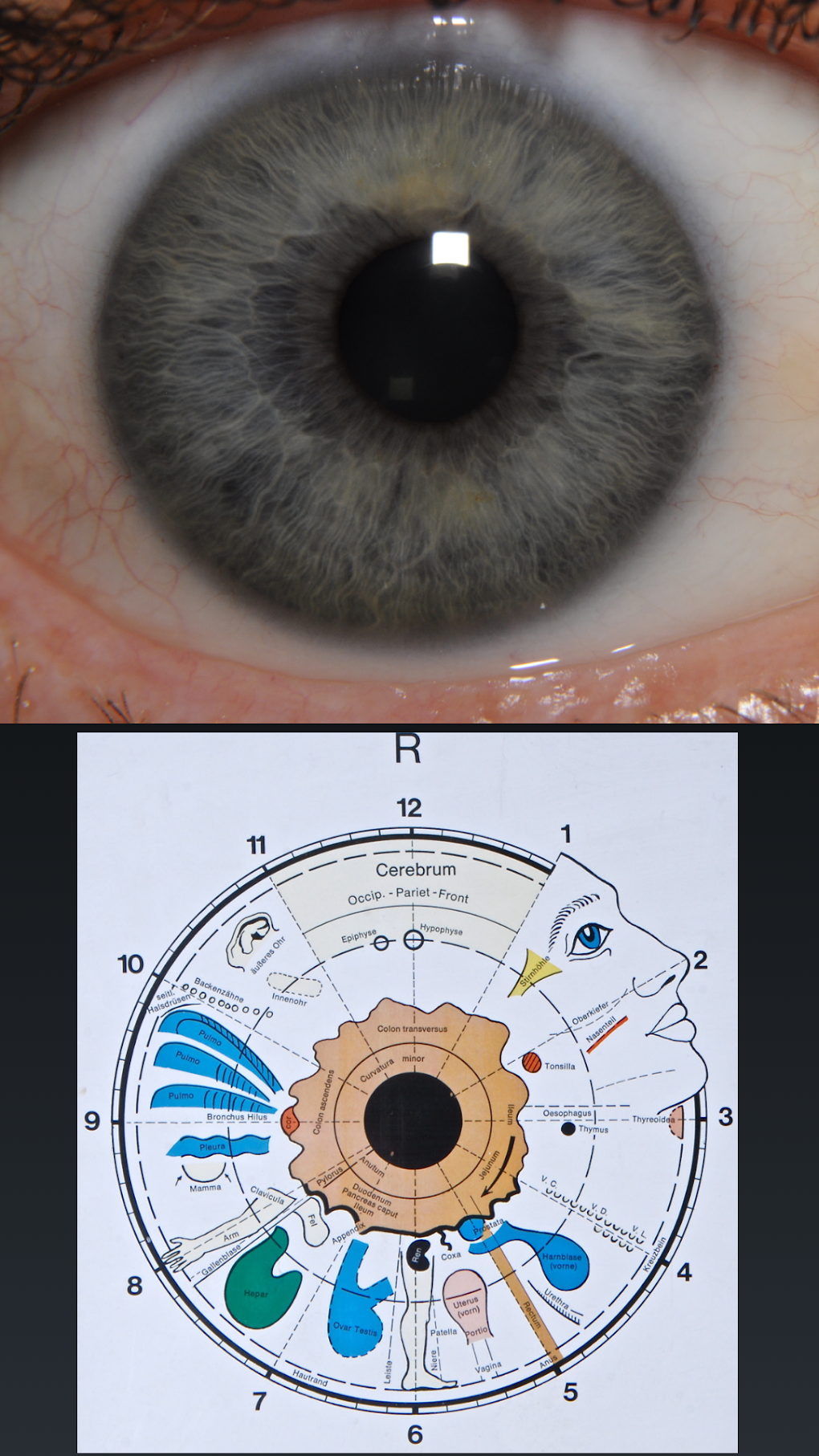Eye Diagnosis for Android - Download