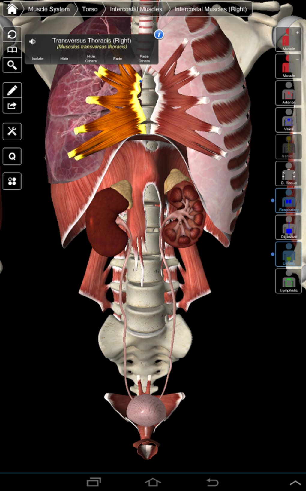 difference between essential anatomy 5 app for linex