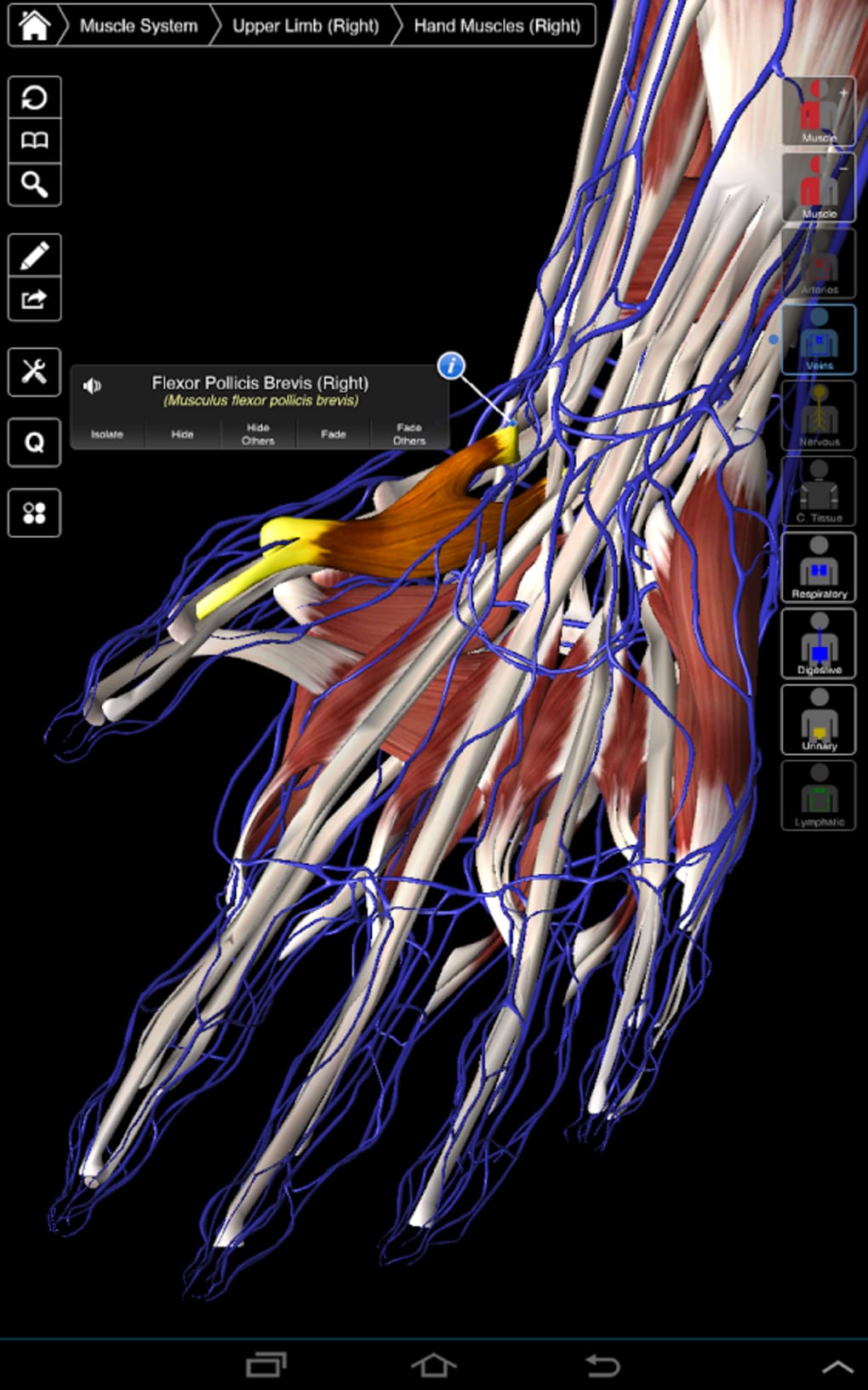 Essential Anatomy 5 Mac App