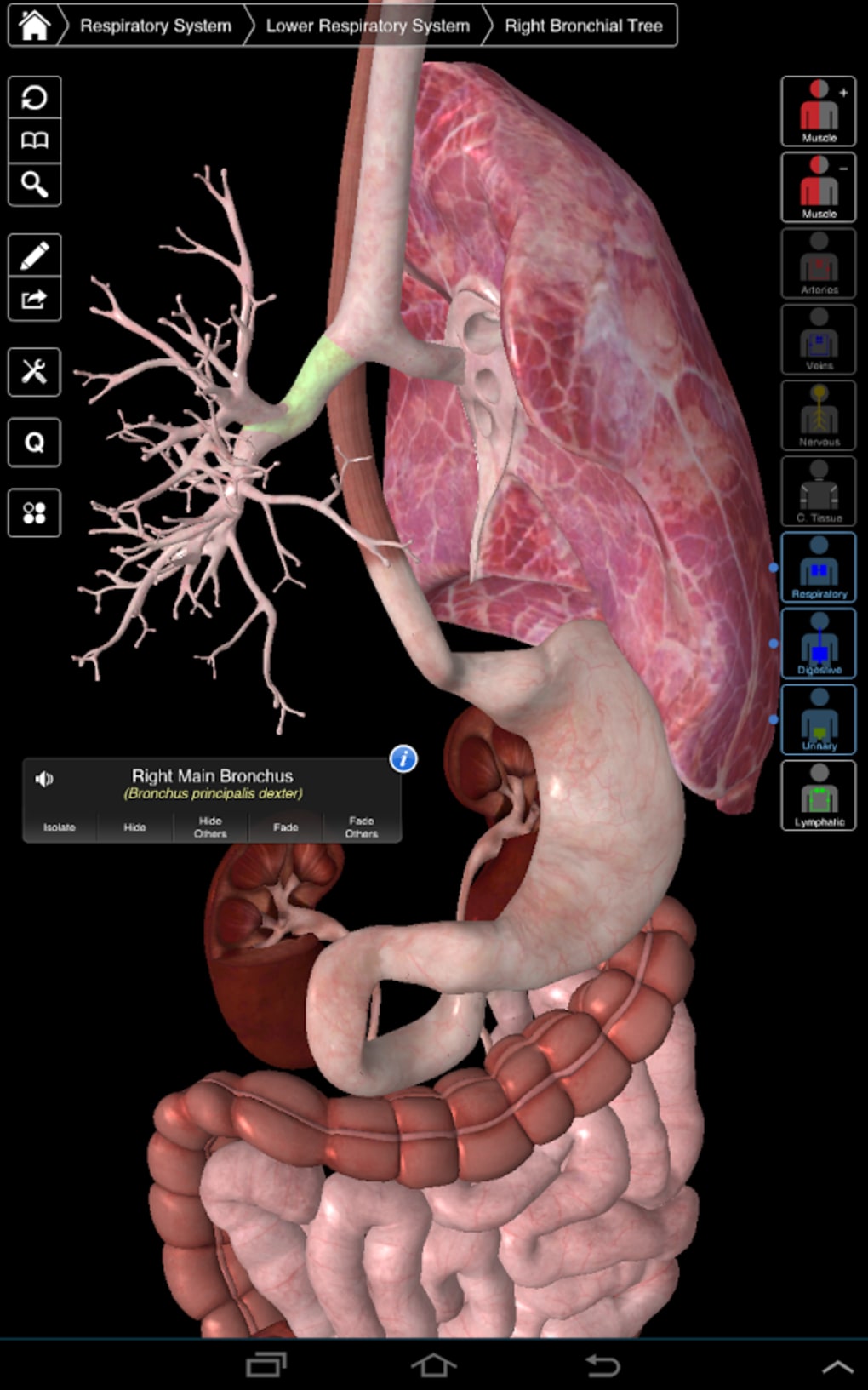 essential anatomy 5 android free download