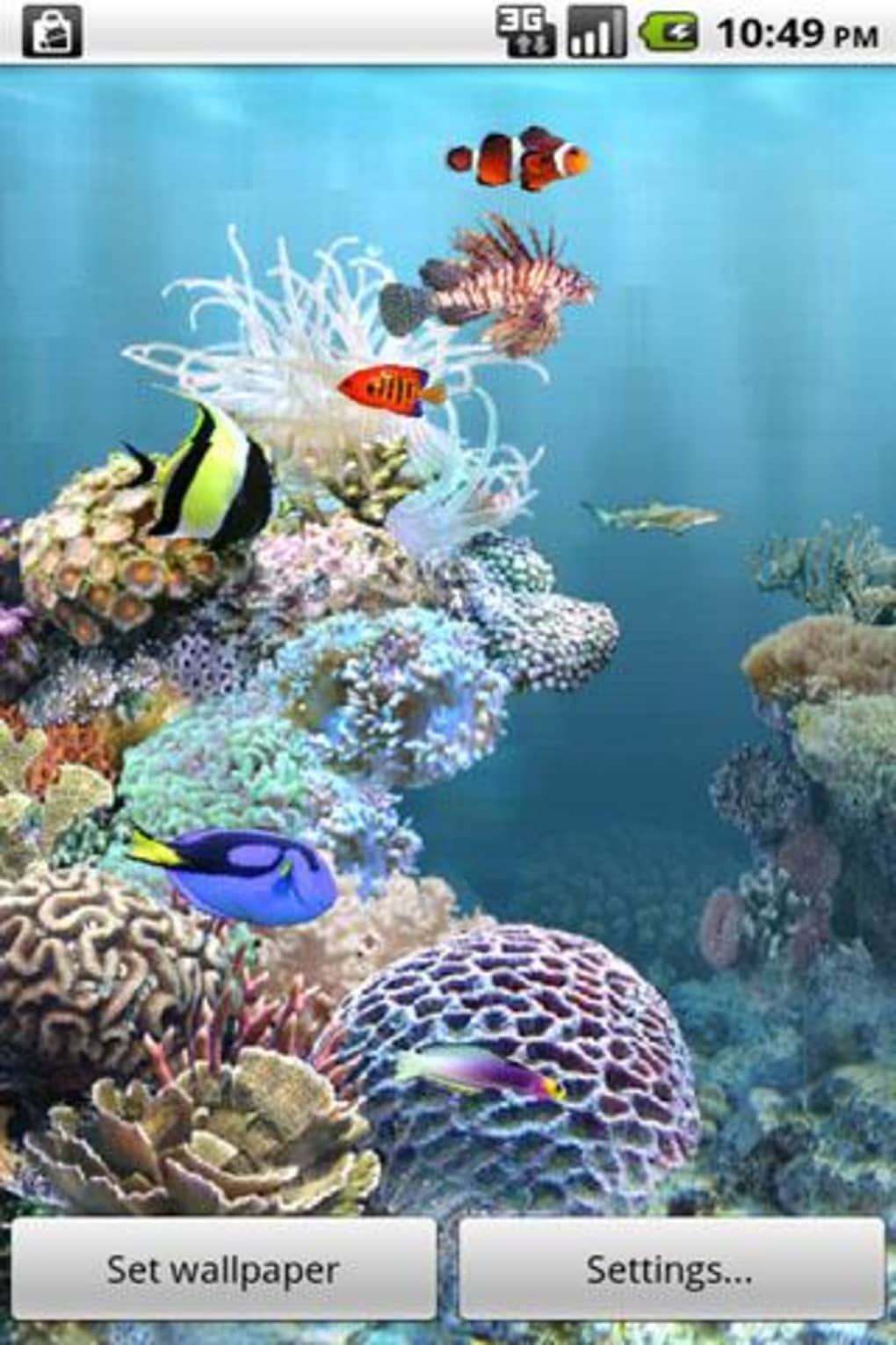 Anipet海洋水族館ライブ壁紙 無料版 For Android 無料 ダウンロード