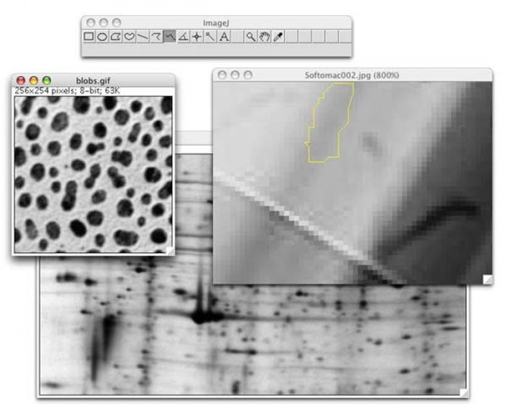 imagej download mac