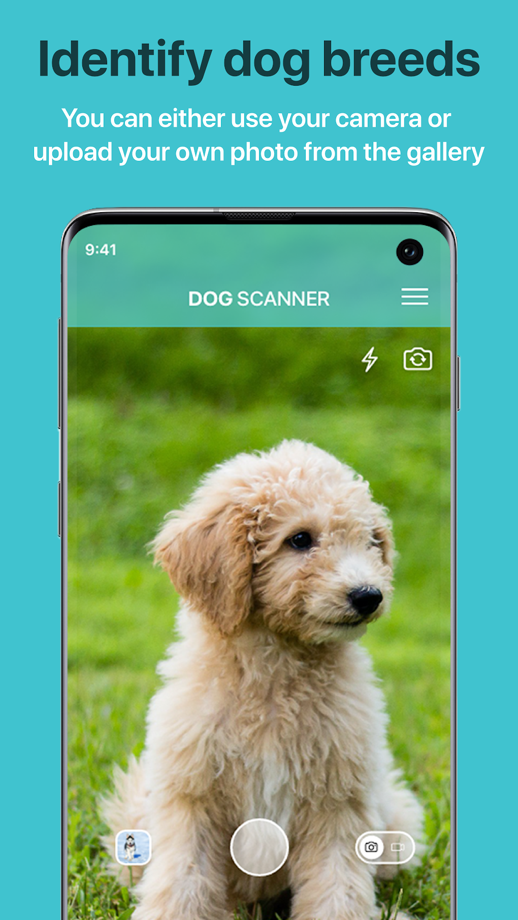 Dog Scanner: Breed Recognition APK для Android — Скачать