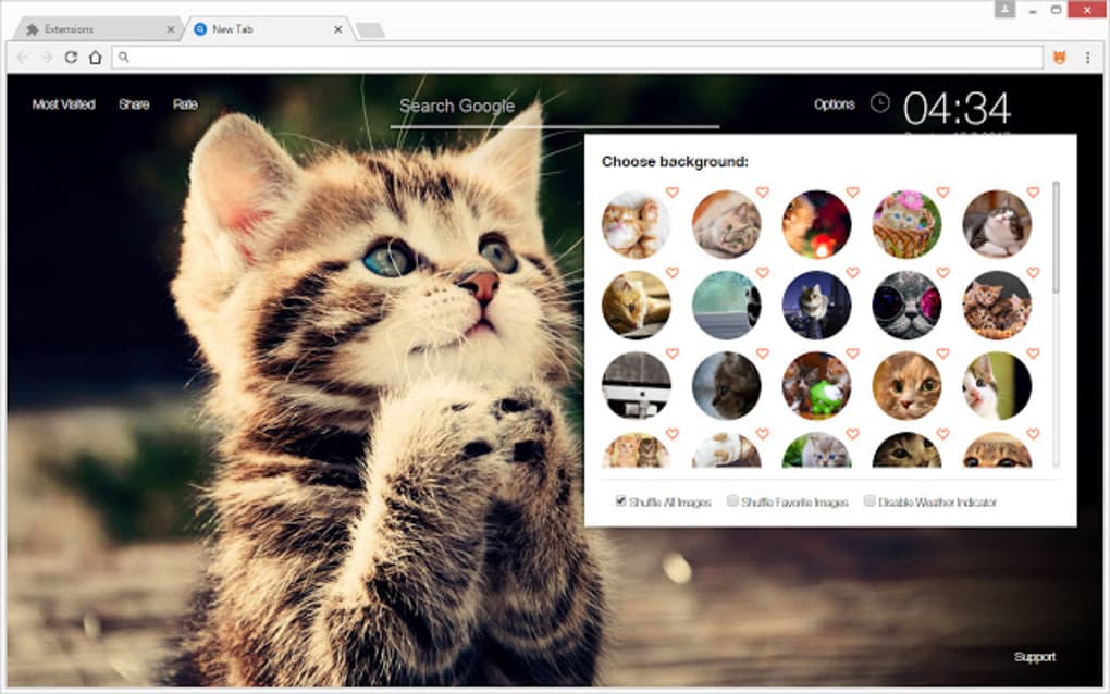 Cute Cats Kittens Wallpaper Hd Cat Themes Download
