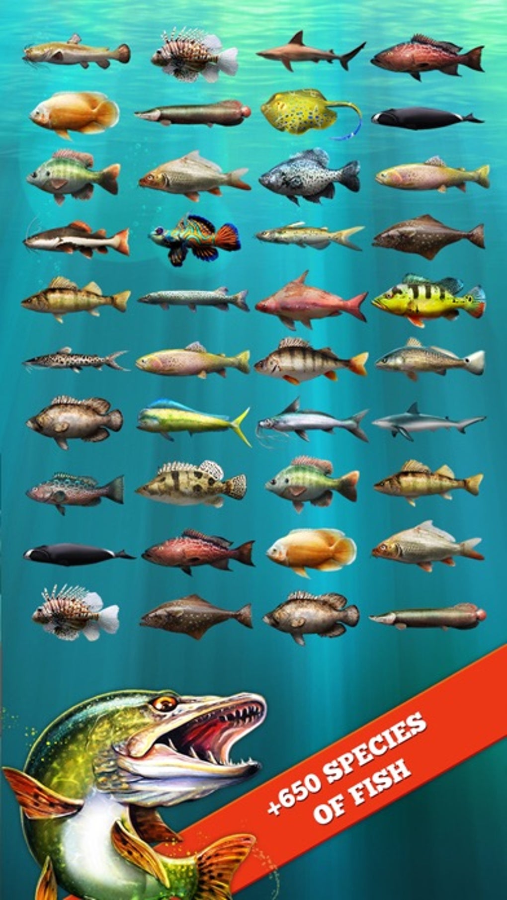 Lets Fish:Sport Fishing Games для iPhone — Скачать