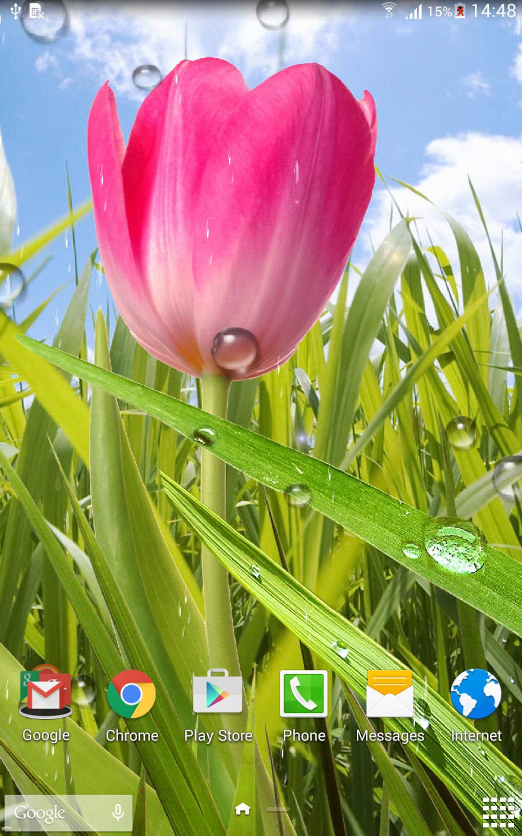 Spring Live Wallpaper APK for Android - Download