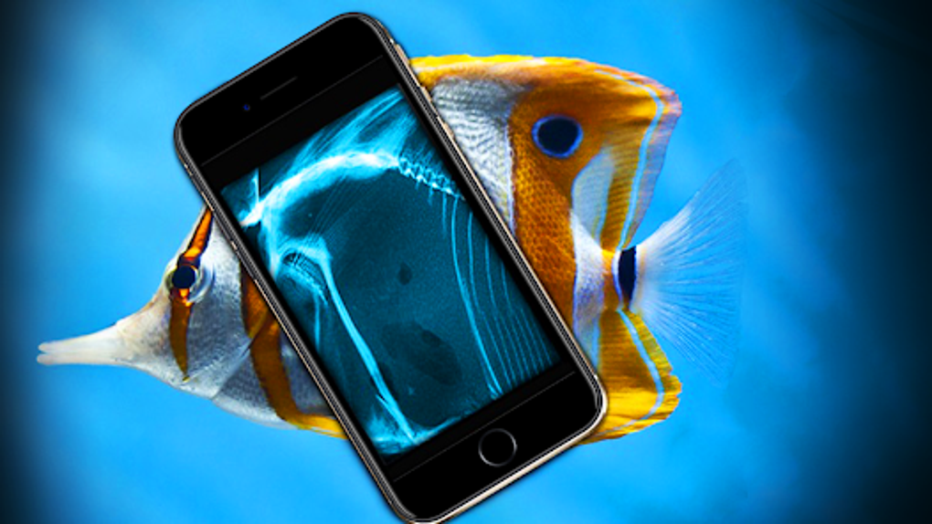 Xray scanner photo filter para android descargar