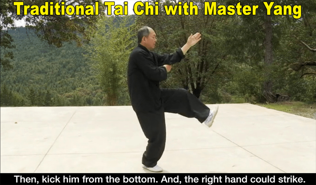 Yang Tai Chi for Beginners 2&3 APK for Android - Download
