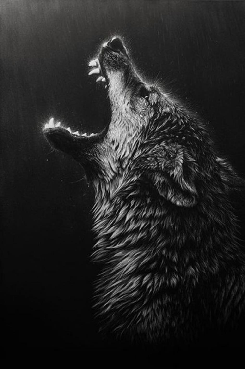 Black Wolf Wallpapers APK for Android Download