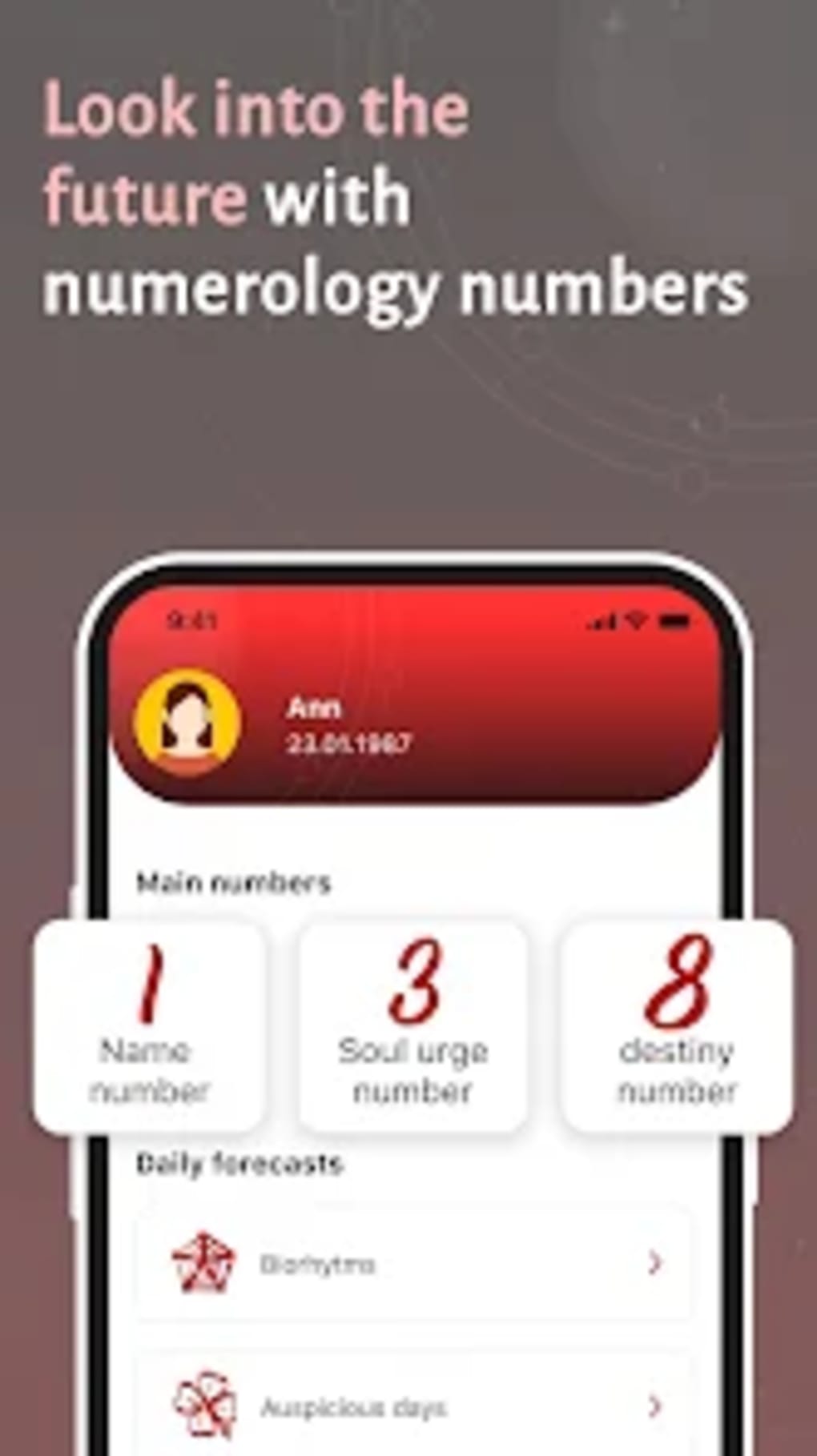 Indian Numerology Calculator Screenshot 