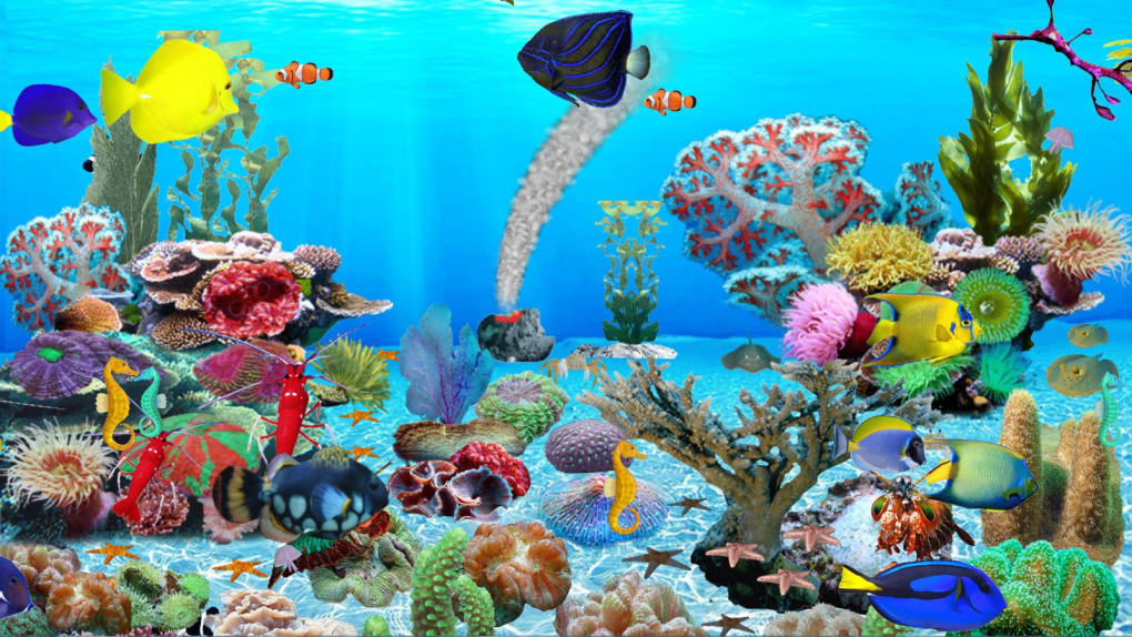 Sim Aquarium - Hình nền động bể cá 3D tuyệt đẹp cho máy tính